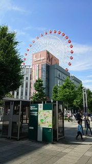 DSC_0182.JPG