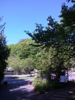 RIMG0326.JPG